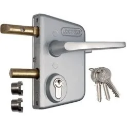 Remise ? Serrure De Portail En Applique Argent - Clé I - Axe à 30 Mm - Profil 40 à 60 Mm - LCKX - Locinox ?