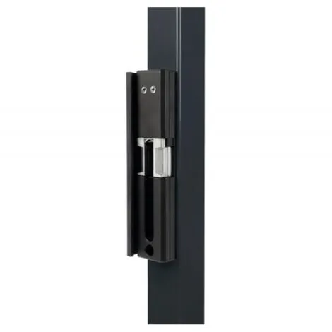 Nouveau ? LOCINOX Gâche électrique Extérieure En Applique Pour Forty Fifty Sixty Lock Profil à Partir De 40mm 1224 V ACDC à Rupture ? 1 Nouveau ? LOCINOX Gâche électrique Extérieure En Applique Pour Forty Fifty Sixty Lock Profil à Partir De 40mm 1224 V ACDC à Rupture ?